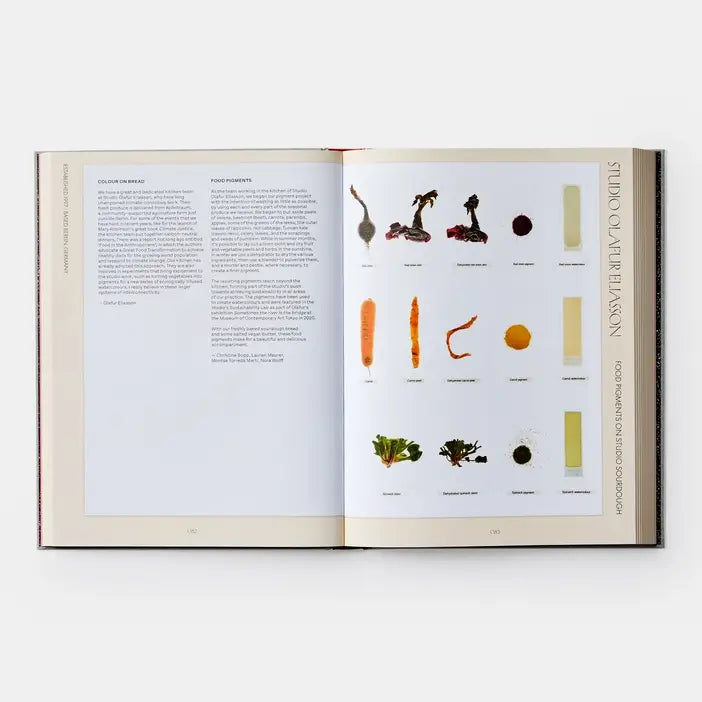 The Kitchen Studio: Culinary Creations By Artists