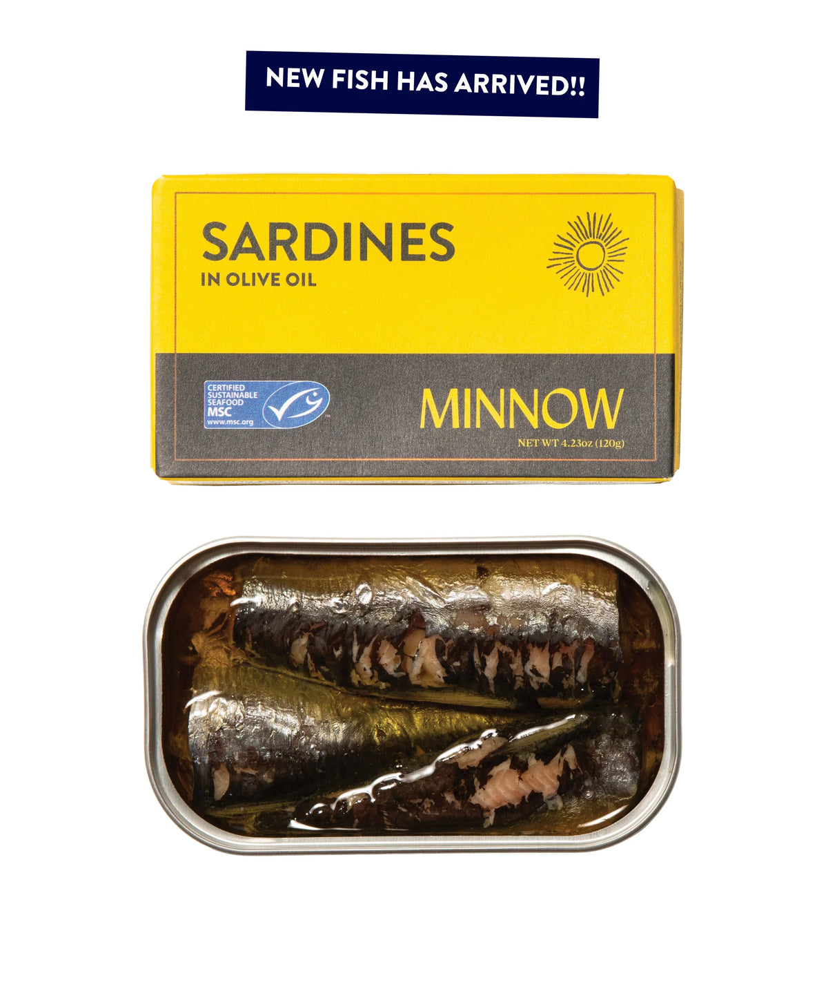 Minnow Sardines in Olive Oil